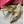 Vlogo Signature Slingback Gold Calfskin Diamond Hardware