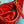 miu wander hobo medium 23cm red metalasse lambskin