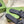 GG Interlocking G slide sandal black rubber