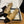slingbacks flat beige goatskin black grosgrain