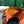 BOEING TOILERY 25CM ORANGE GOYARDINE CANVAS AND CALFSKIN TRIM