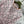 GG Printed Silk Dress Pink Ready To Wear