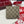GG Bi-Fold Wallet In Beige Mix Brown Canvas