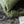 BV MINI JODIE 28CM MATCHA GREEN LAMBSKIN LEATHER