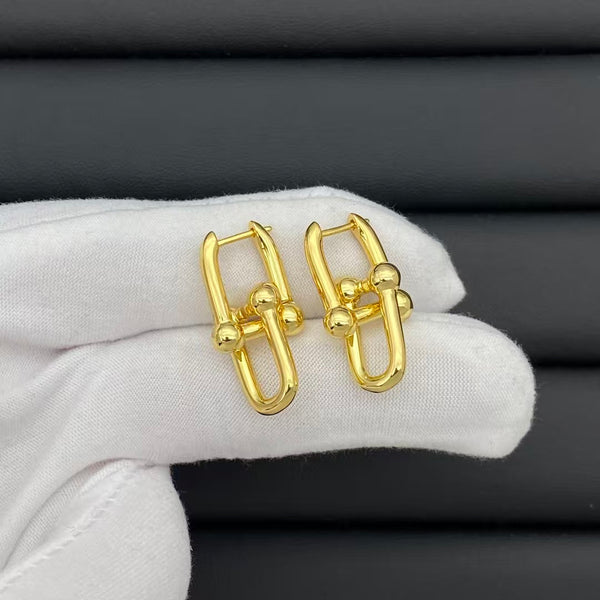 Tiffany & Co HardWear Link Earrings