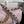 CC 19 Handbag 25cm Light Pink Calfskin Gold Hardware mix Sliver Hardware