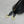 BG Bolero Bowling Bag Black Calfksin