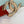 CC WOMEN'S BELT 3.0CM BUCKLE PINK GOLD LEATHER RED