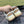 GG WHITE BROWN DISTRESSED EFFECT