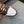 GG LOW TRAVIS GREY WHITE