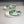 GG LOW TRAVIS GREEN WHITE LEATHER