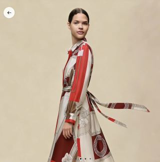 HM 26 Silk Printed Shirt Dress with Belt 378709