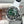 Rolex Submariner Date Custom Carbon Grey Black Green Dial