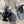 PRA 26S Mule Sneaker Grey Suede Canvas