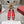 Bell Viv 25 Pumps Red Imported Silk 300732