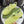 GG Sandals with Double G Light Yellow TPU 818206