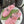 GG Sandals with Double G Light Pink Sliver TPU 818204