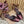CL 2026 Sweetie Jane Strass Ballerina Flat Silk Leather 853090