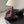 CC 26S Shearling Trim Mules Burgundy Gold Suede 127801