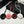 CC Camellia Charm