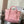 CC 2026 Deauville Bag Pink Canvas