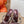 CL Just Jewel Strass Mules Burgundy Oversized Crystals PVC Leather 855235