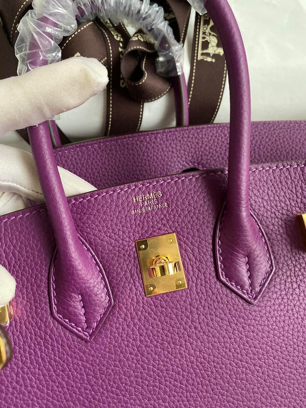 Hermes 2025 Birkin Bag Purple With Gold Hardware Epsom Leather