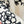 Chanel 2026 Floral Embroidery Sweater Wool 244912