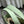 Chanel 2026 Basket Hobo Bag 27.5cm Green Calfskin