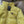 PRADA 25S DOWN JACKET 559