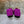JC 26s Margot Ballet Flat Orchid Suede 996480