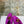JC 26s Margot Ballet Flat Orchid Suede 996480