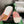 CC 26s Slippers White Pink Fur 999409