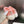 CC 26s Slippers White Pink Fur 999409