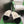 CC 26s Slippers Black White Fur 999411