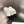 CC 26s Slippers Black White Fur 999411