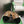 CC 26s Slippers Black Khaki Fur 999412