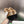 CC 26s Slippers Black Khaki Fur 999412