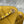 CC 26c Hobo Bag 22cm Yellow Suede