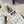Golden Goose 2025 Star Sneaker White Black mix Leopard Wool Cowhide 500588