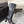Alaia 2025 Square Toe High Heeled Boot Black Calfskin 558669
