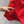 GG Crêpe Dress With Double G Button Red Wool 346689