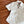CC 25 Lace Backless Shirt White Cotton