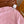 CD SS26 Dioramour Short-Sleeved Sweater Cashmere 348822