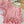 Miu Miu Bikini Pink Cotton 185842