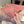 Loewe Scarf 180CM Pink Wool-blend 100131