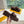 Fendi 25ss Slippers Dark Brown Wool 507102