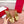 Ferragamo Vara Slingback Gold Sheepskin 760462