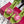 RV Rose Vivier Flower Sandal 10cm Pink Green Satin 617302