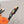 HM 25 Oran Orange Colorful Fur Canvas 738410